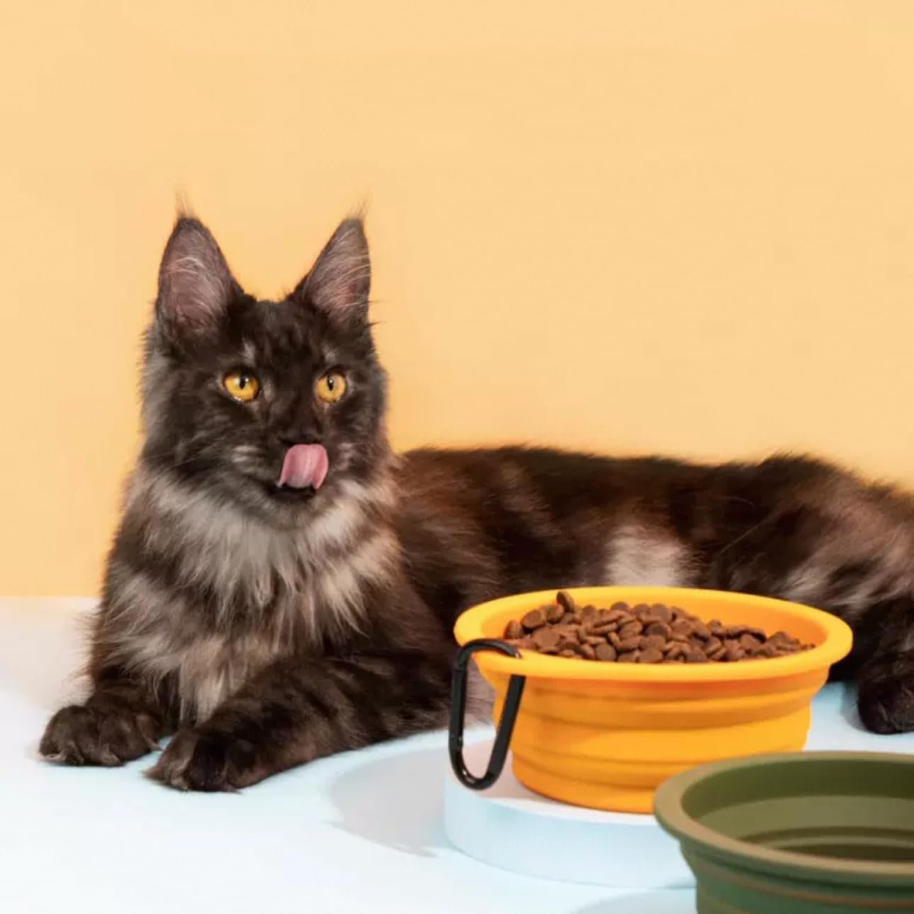 Cuenco plegable de silicona YB-155 para mascotas — Vista del producto